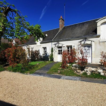 La Jacquiere Bed & Breakfast Chaumont-sur-Loire Dış mekan fotoğraf